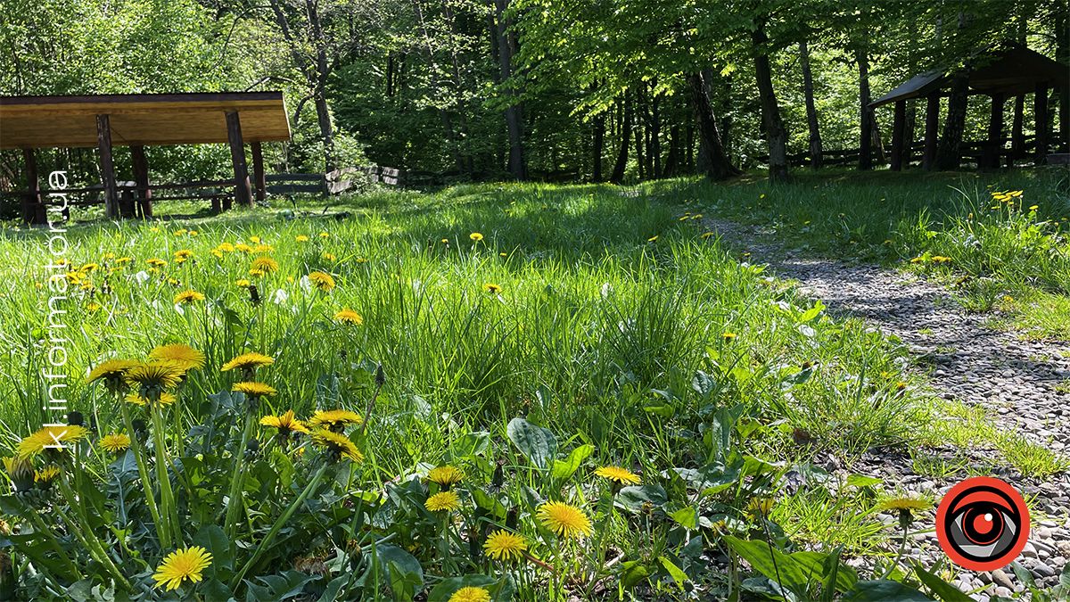 Місця для відновлення: дві рекреаційні зони поблизу Коломиї | ВІДЕО 5