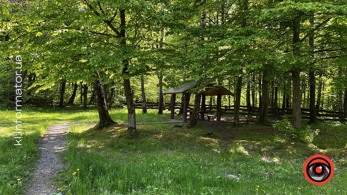 Місця для відновлення: дві рекреаційні зони поблизу Коломиї | ВІДЕО 2