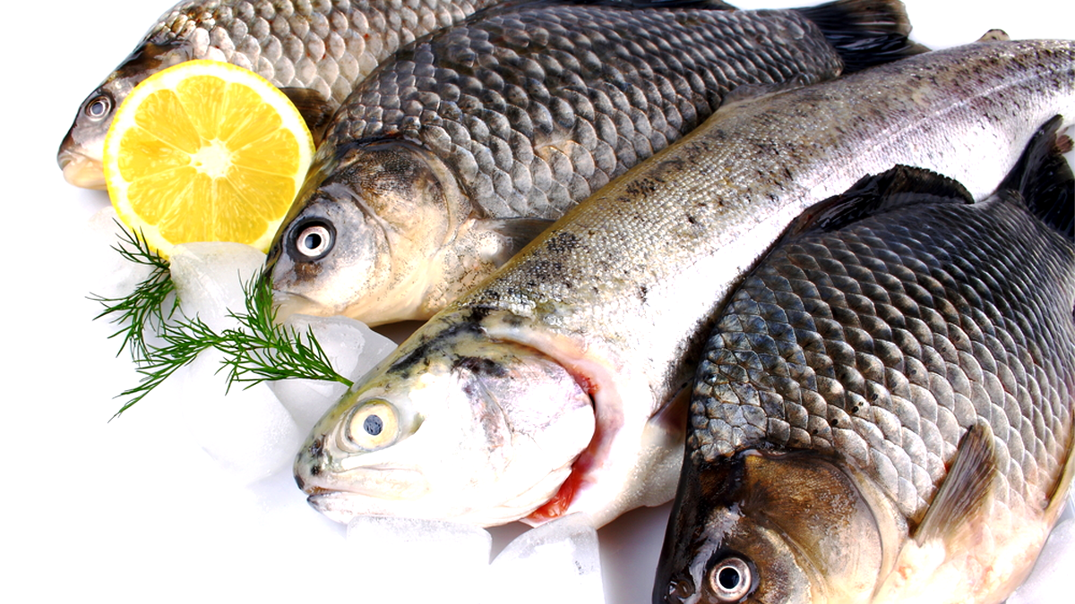 Скільки коштує жива риба на ринку Коломиї