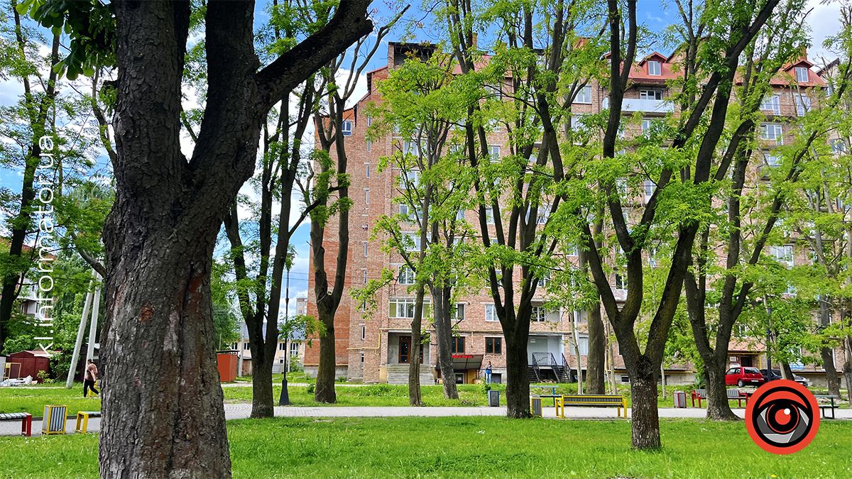 Місце у тіні: де сховатися від спеки у Коломиї 6