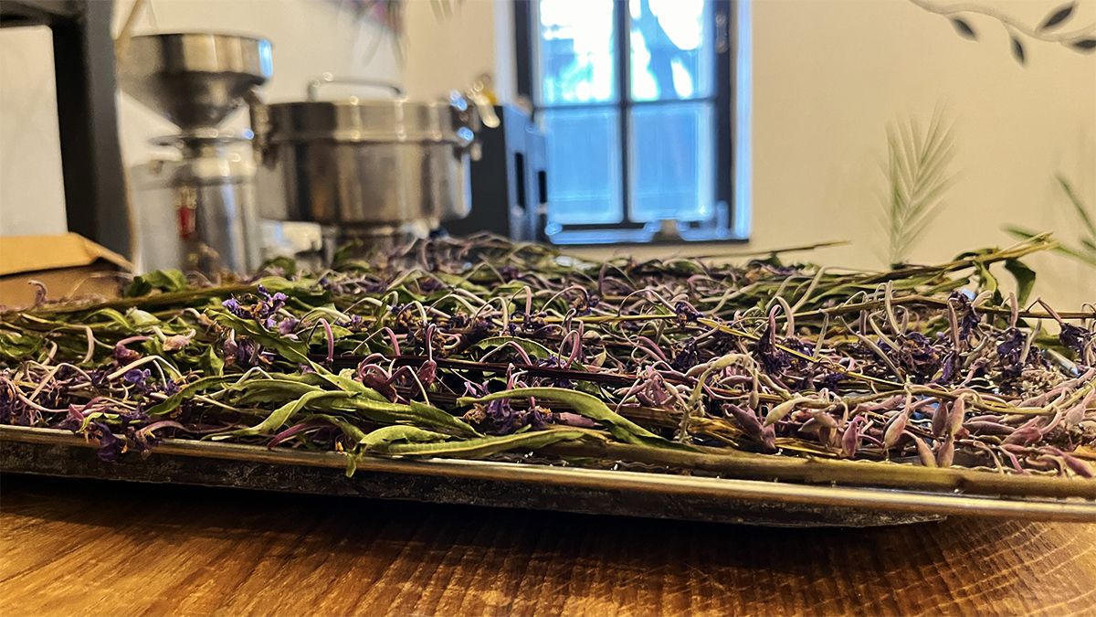 У Коломиї відкрилася майстерня крафтових виробів "Жива олія" | Мешканців міста кличуть на майстеркласи 6