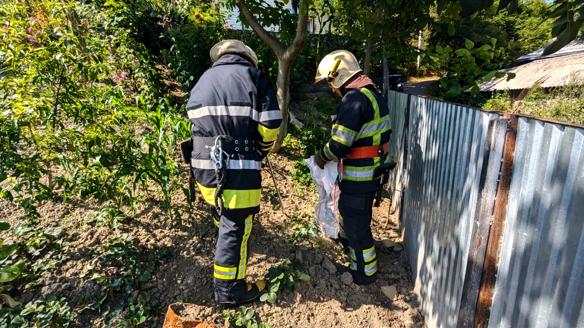 На Косівщині на території житлової присадиби виявили змію 1