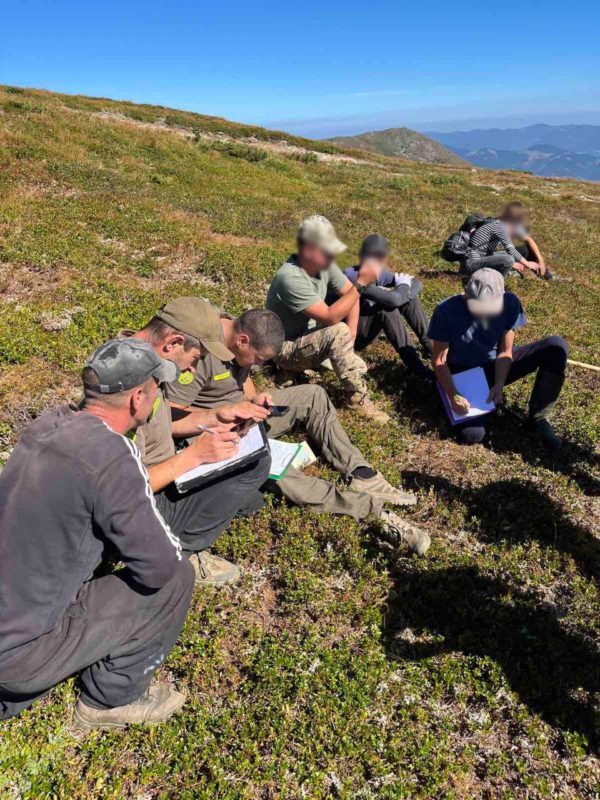 На браконьєрів ісландського моху в Карпатах склали 5 протоколів 1