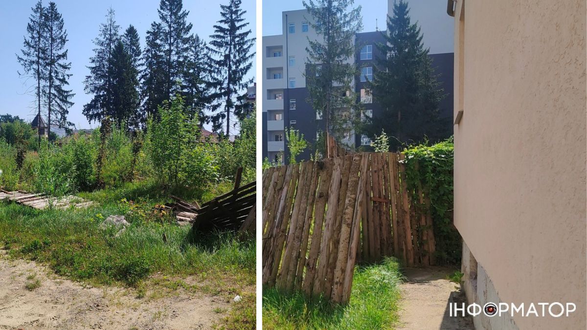 Нічийні хащі: дебрі біля коломийського парку і житлового масиву | ВІДЕО