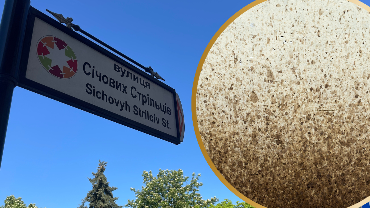 "Фекальна помста": акти вандалізму в Коломиї розслідує поліція | ВІДЕО