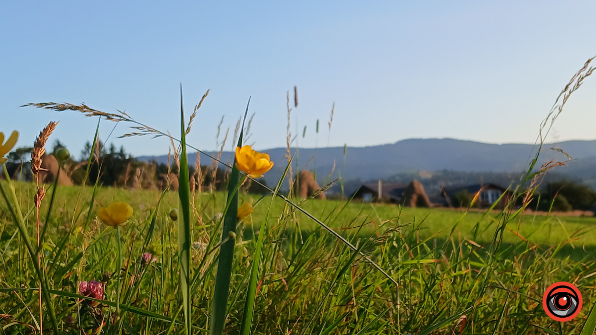Чарівна Ворохта: серце Карпат у кадрах 5