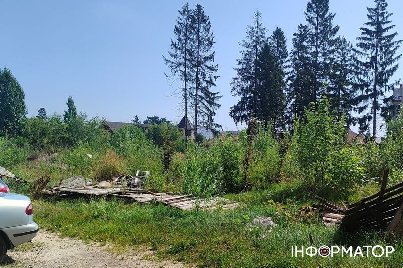 Нічийні хащі: дебрі біля коломийського парку і житлового масиву | ВІДЕО 1