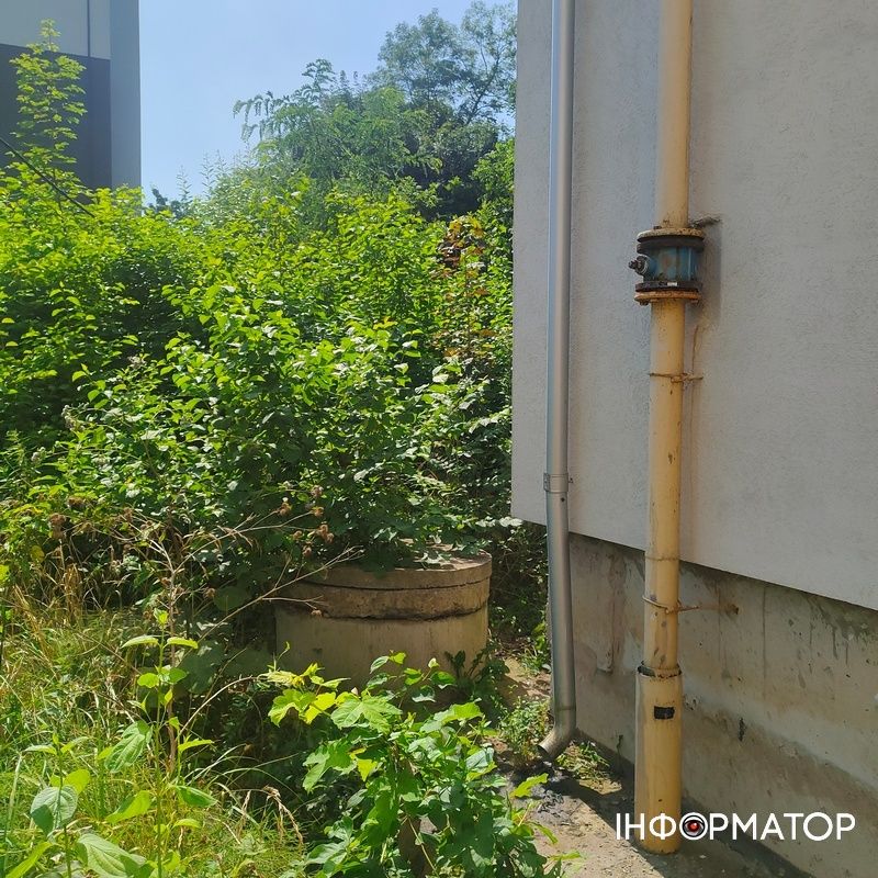 Нічийні хащі: дебрі біля коломийського парку і житлового масиву | ВІДЕО 5