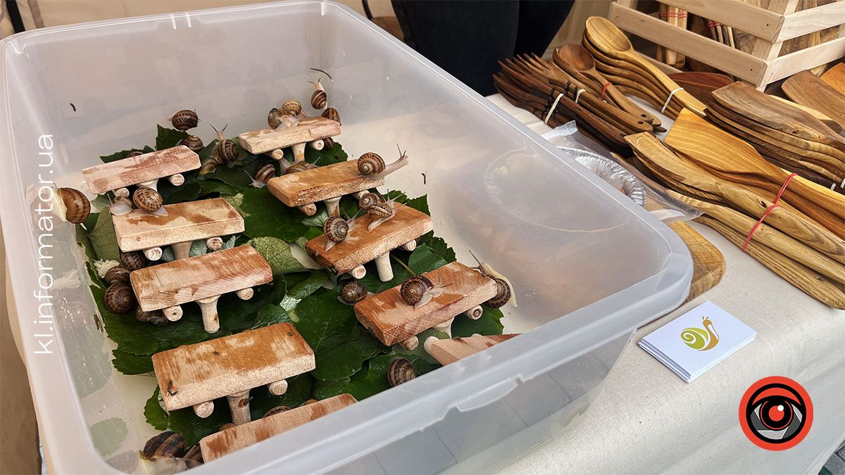 Коломия крафтова: на площі перед Музеєм писанкового розпису стартував ярмарок місцевих виробників 11