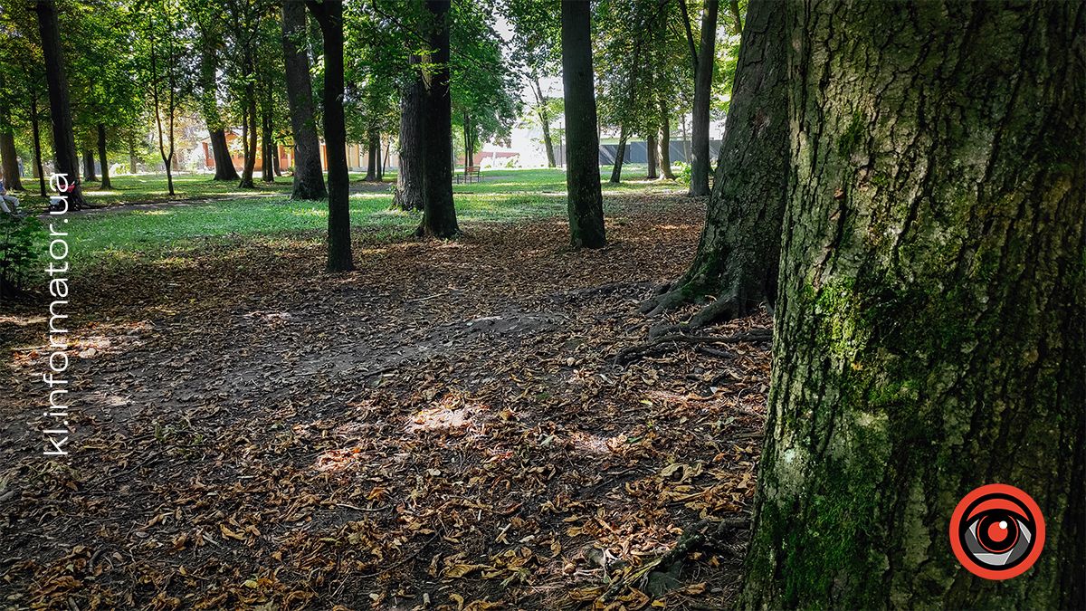 Нотки вересня й іржавість каштанів Коломиї: фоторепортаж 10