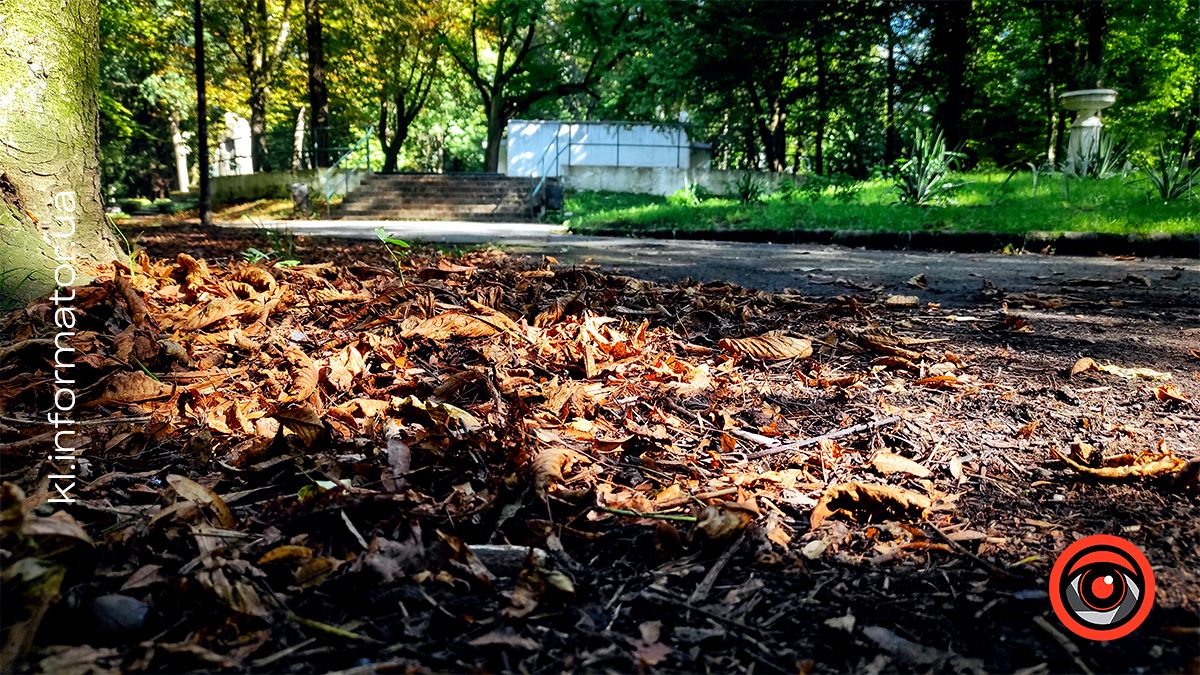 Нотки вересня й іржавість каштанів Коломиї: фоторепортаж 1