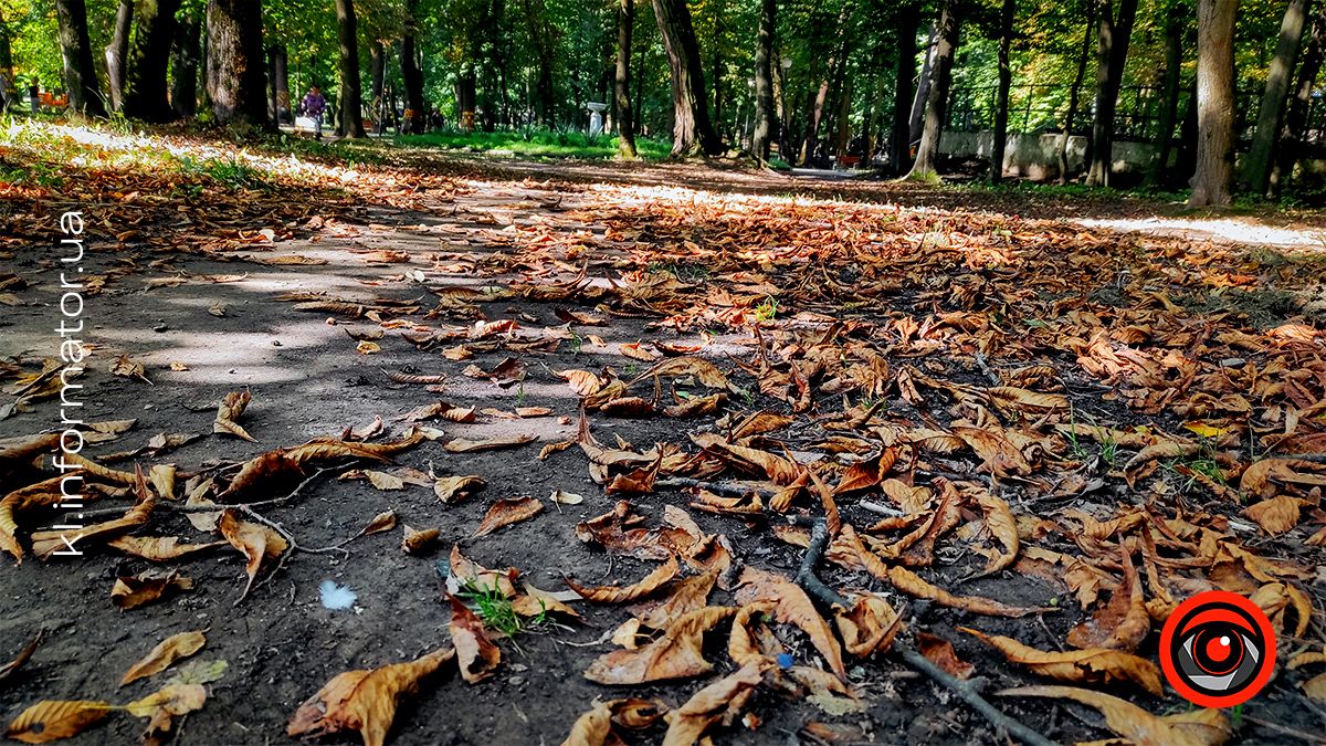 Нотки вересня й іржавість каштанів Коломиї: фоторепортаж 4