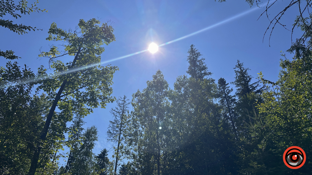 Магія ранку в горах: зоряне небо і золотий схід сонця в Карпатах 2