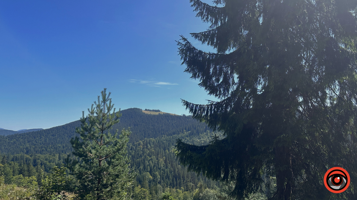 Магія ранку в горах: зоряне небо і золотий схід сонця в Карпатах 4