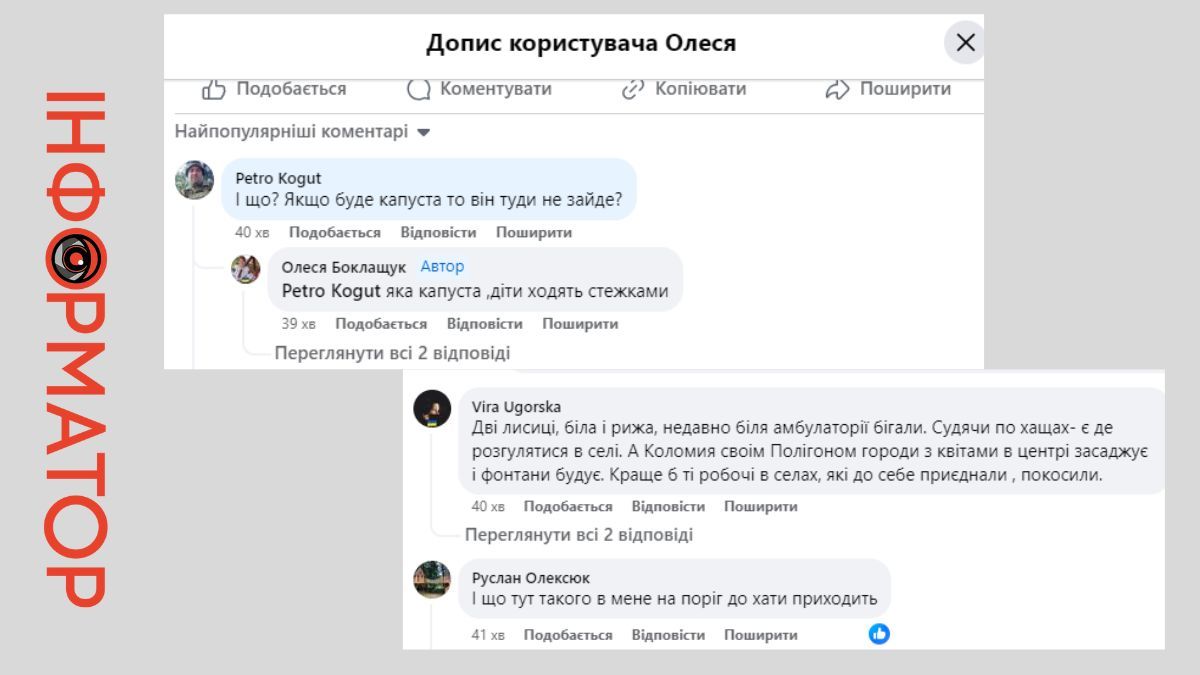 У центрі села Коломийської громади розгулювали ймовірно лисиці | ВІДЕО 1