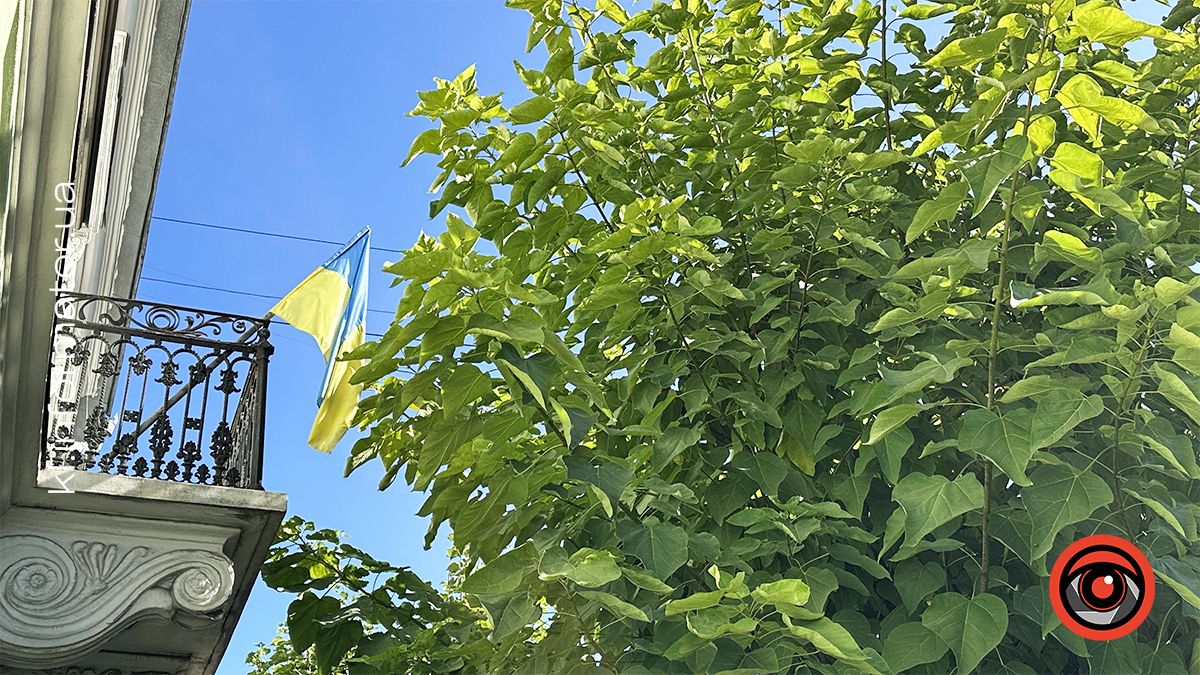 Коломия замайоріла синьо-жовтими стягами | фоторепортаж 7