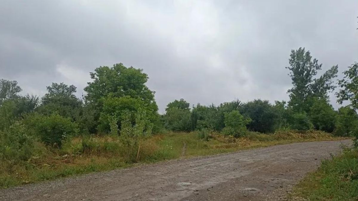 Дві жінки змагалися в аукціоні за землю в Коломиї 1