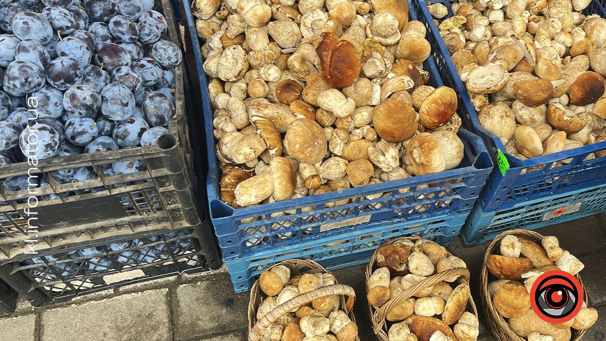 Скільки коштують гриби на ринку в Коломиї в серпні