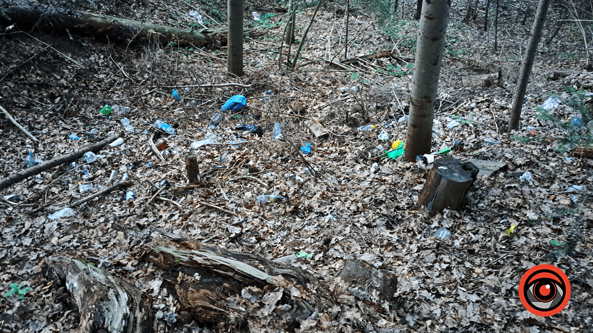 Замість чистої природи - стихійне звалище. Наслідки дій людини у Тисовому заповіднику 1