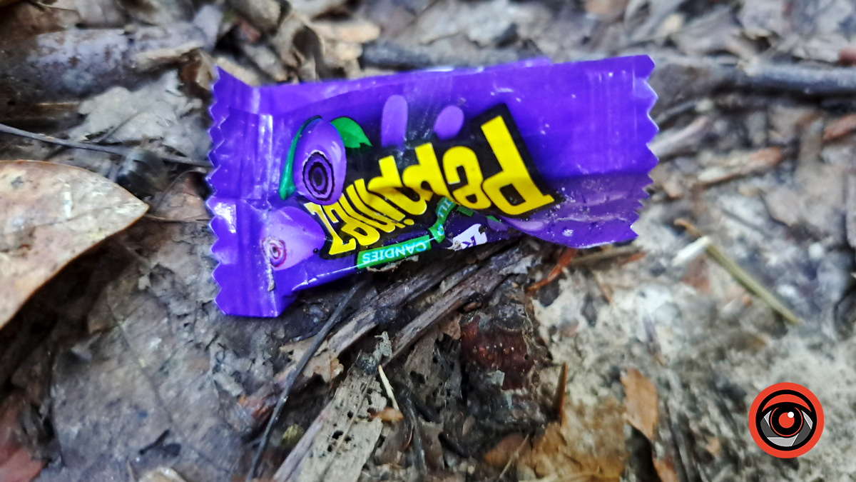 Замість чистої природи - стихійне звалище. Наслідки дій людини у Тисовому заповіднику 3