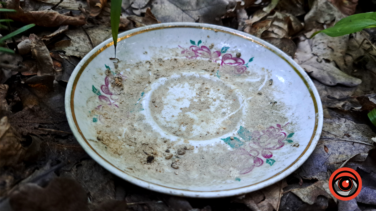 Замість чистої природи - стихійне звалище. Наслідки дій людини у Тисовому заповіднику 5