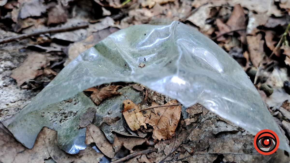 Замість чистої природи - стихійне звалище. Наслідки дій людини у Тисовому заповіднику 4