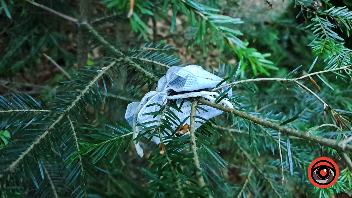 Замість чистої природи - стихійне звалище. Наслідки дій людини у Тисовому заповіднику 6