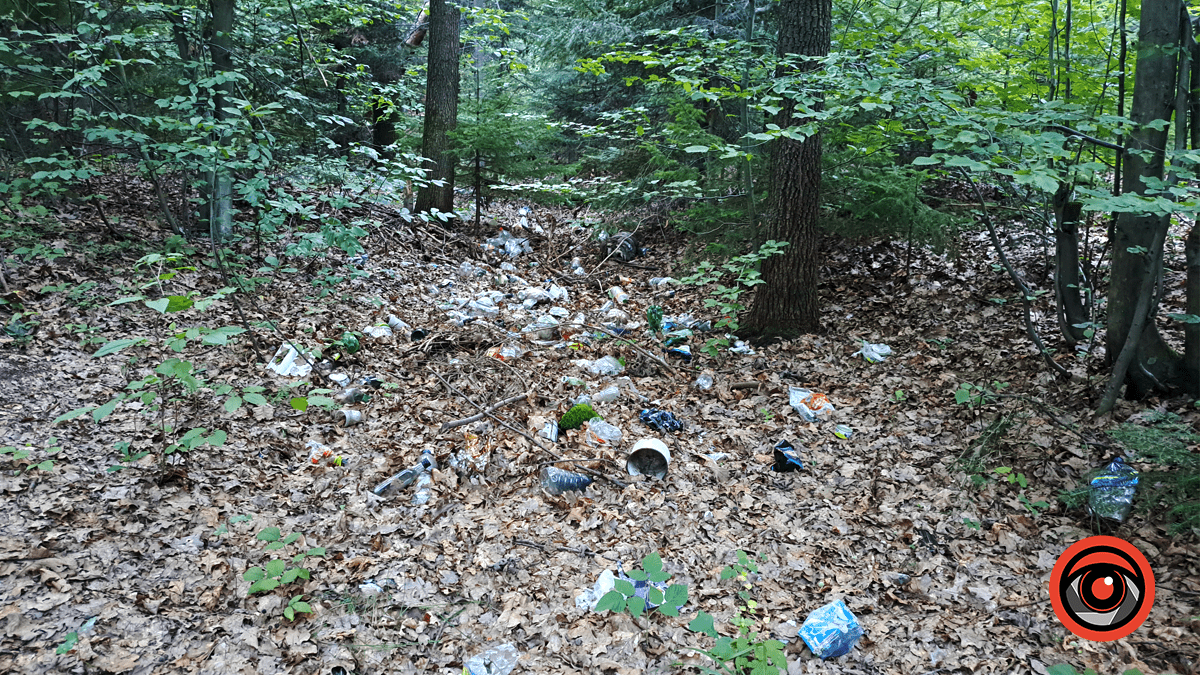 Замість чистої природи - стихійне звалище. Наслідки дій людини у Тисовому заповіднику