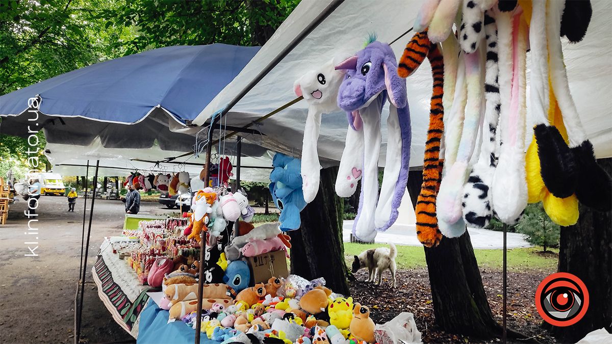 Майже осінній ярмарок у Коломиї на Спаса | ФОТО 10