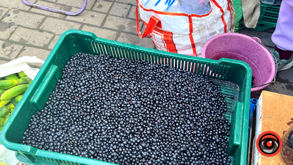 Малина, ожина та ягоди на будь-який смак. Які ціни на ринку в Коломиї 10 серпня 1