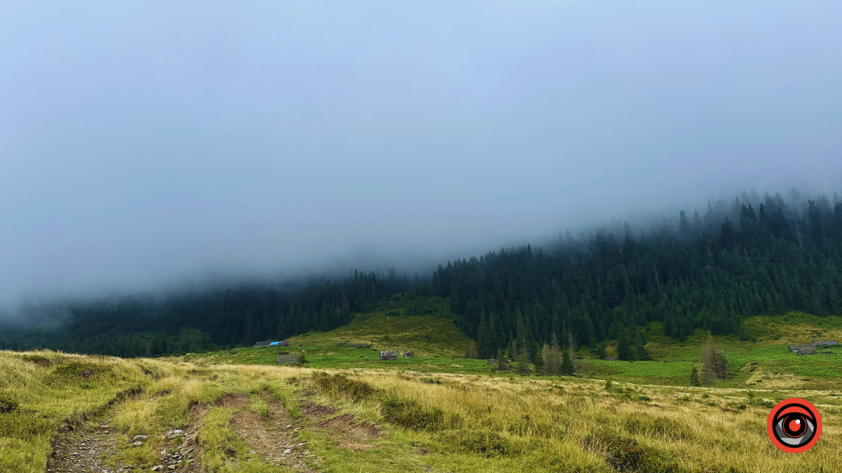 Магія туманних Карпат: фоторепортаж з Чорногори 9