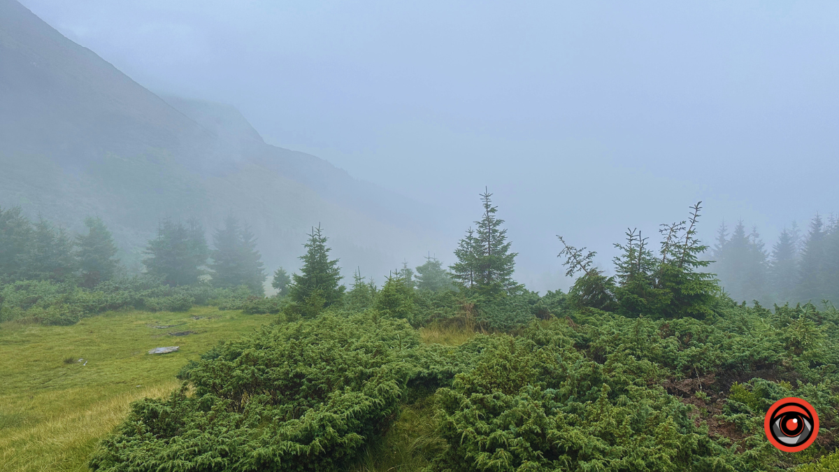 Магія туманних Карпат: фоторепортаж з Чорногори 11