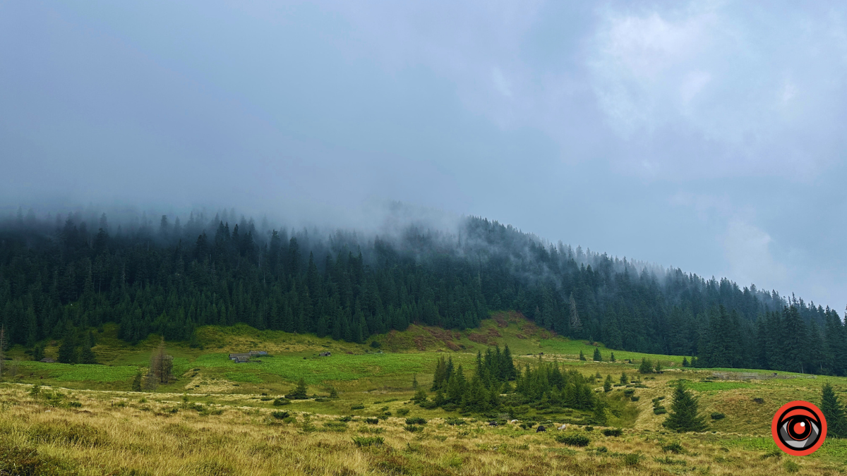 Магія туманних Карпат: фоторепортаж з Чорногори 3