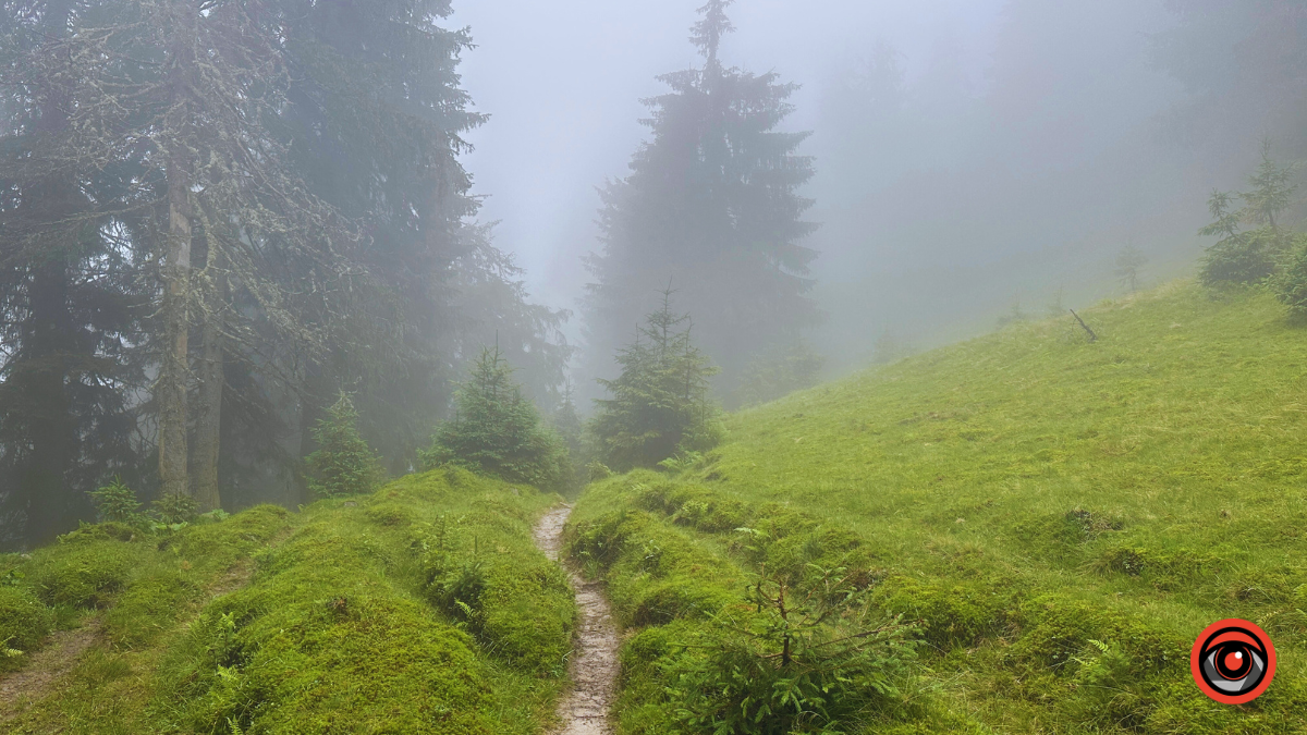 Магія туманних Карпат: фоторепортаж з Чорногори 5