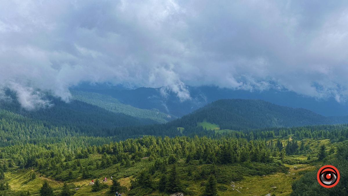 Магія туманних Карпат: фоторепортаж з Чорногори 6