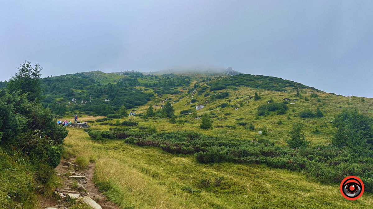 Магія туманних Карпат: фоторепортаж з Чорногори 7