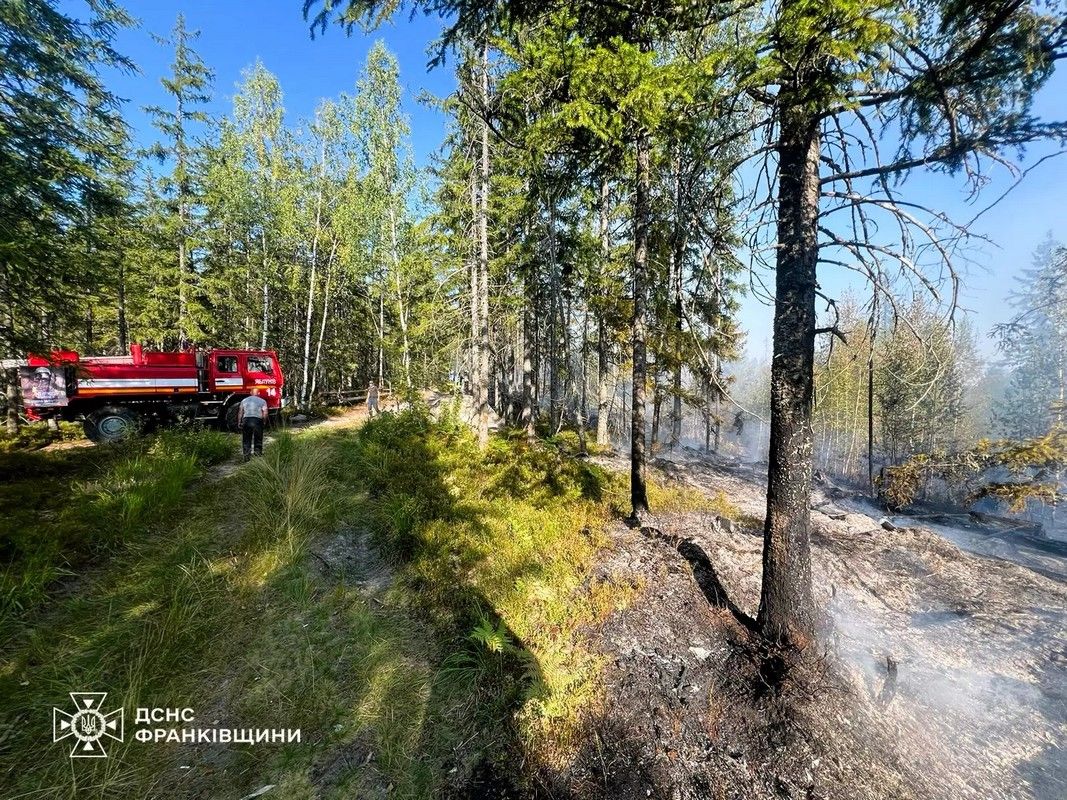 У Космачі кілька годин гасили величезну лісову пожежу 1