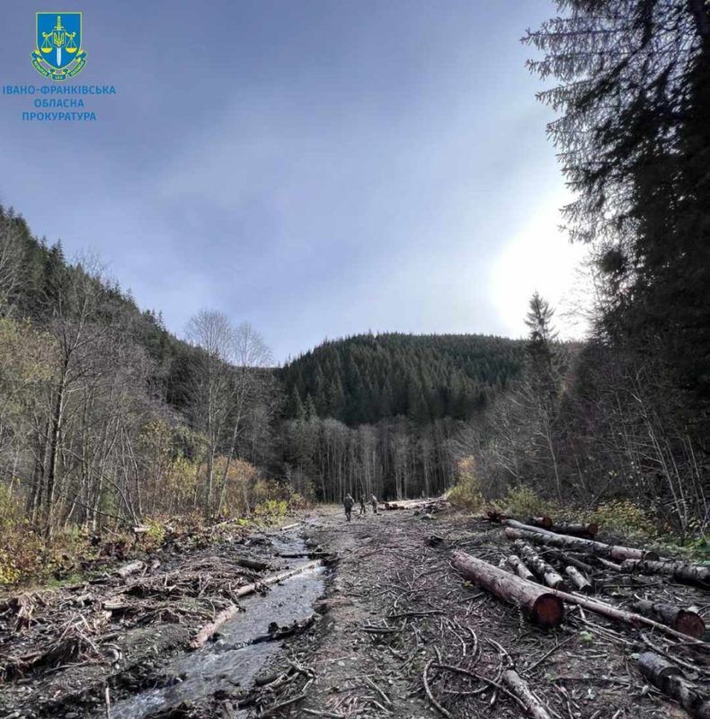В Національному природному парку "Гуцульщина" незаконно вирубили дерев на 3,4 млн грн 1