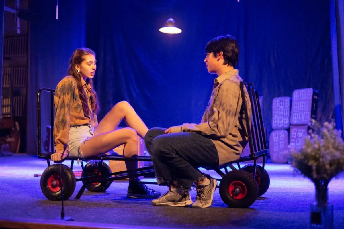 В Коломиї відбувся перший фестиваль дитячо-юнацьких та молодіжних театрів "FrancoFest" 4