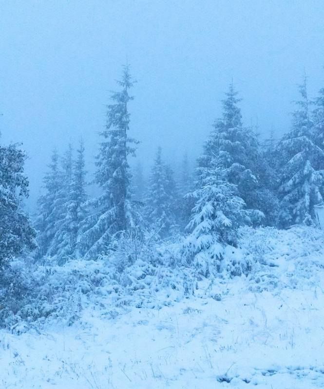 Полонина Пожижевська. Фото - Василь Шепетюк