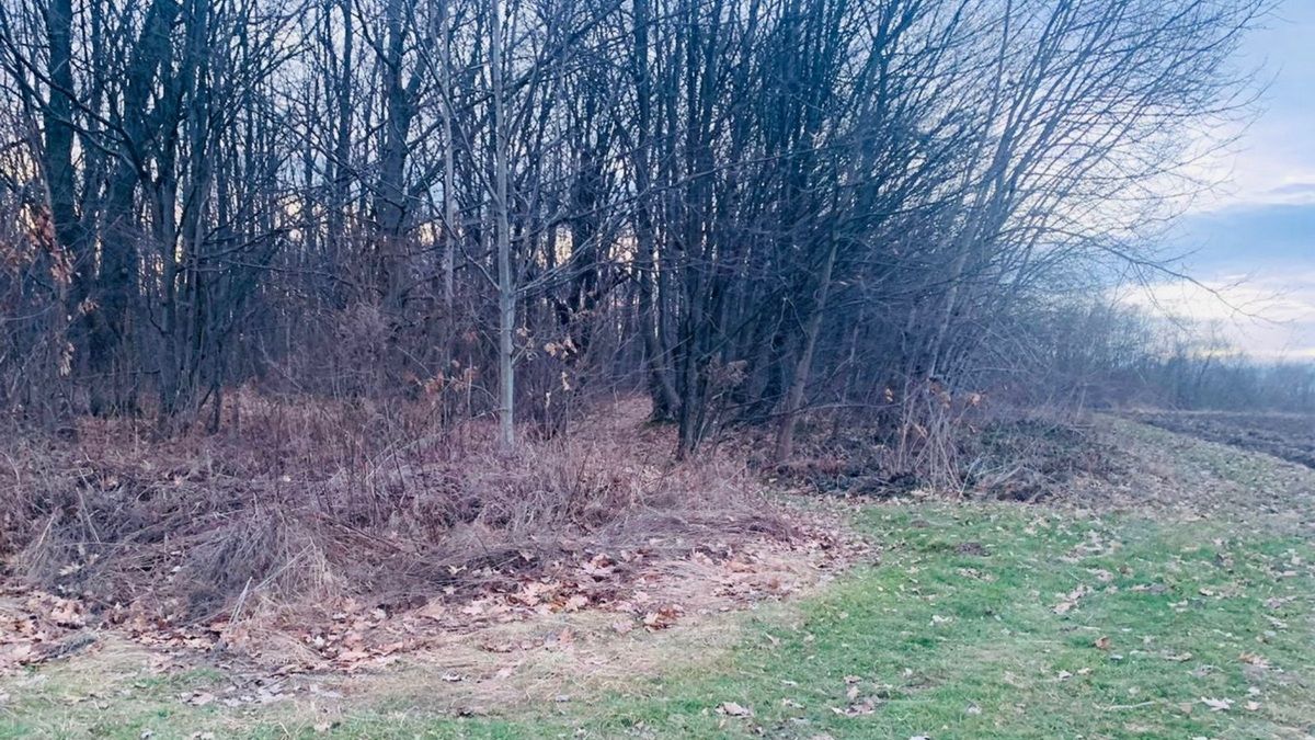 Вивезли в ліс, били та стріляли: двоє прикарпатців вибивали неіснуючий борг у знайомого 1