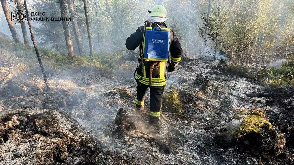 У Космачі кілька годин гасили величезну лісову пожежу