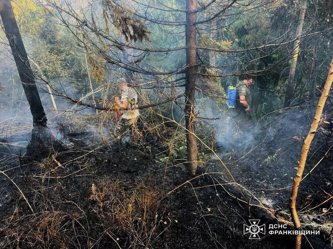 У Космачі кілька годин гасили величезну лісову пожежу 2