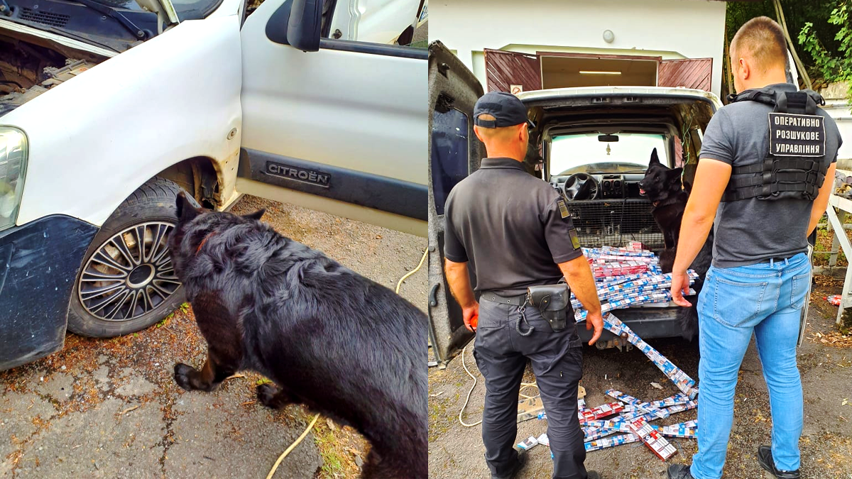 Прикордонники виявили у мінівені сховок з 653 пачками цигарок 2