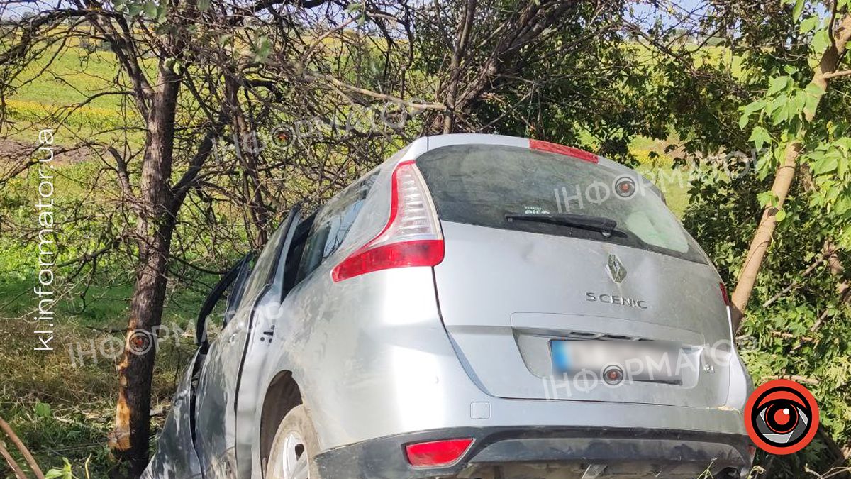 ДТП на Коломийщині: мінівен вилетів з дороги і врізався в дерево 3