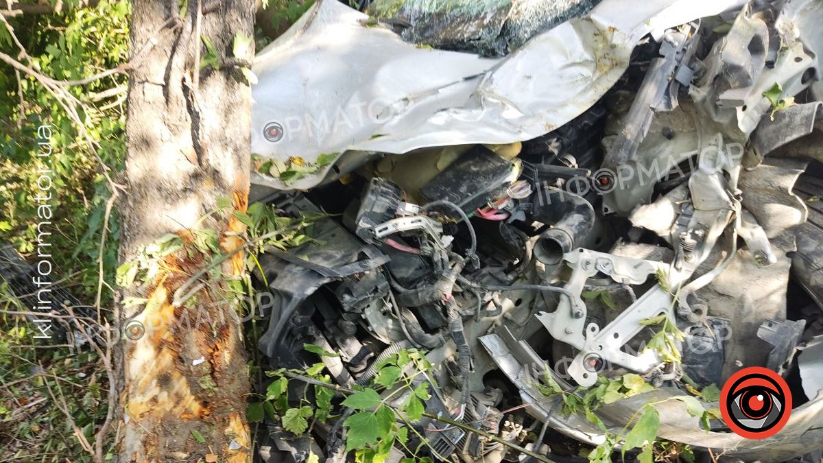 ДТП на Коломийщині: мінівен вилетів з дороги і врізався в дерево 2