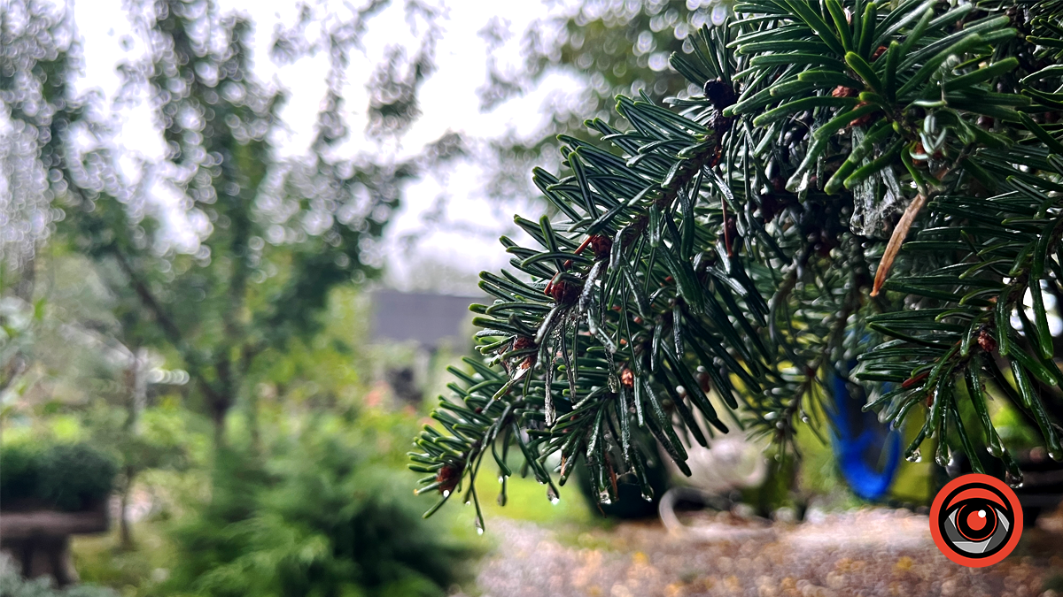 Сонячний і теплий: яким був вересень 2024 у Коломиї 17