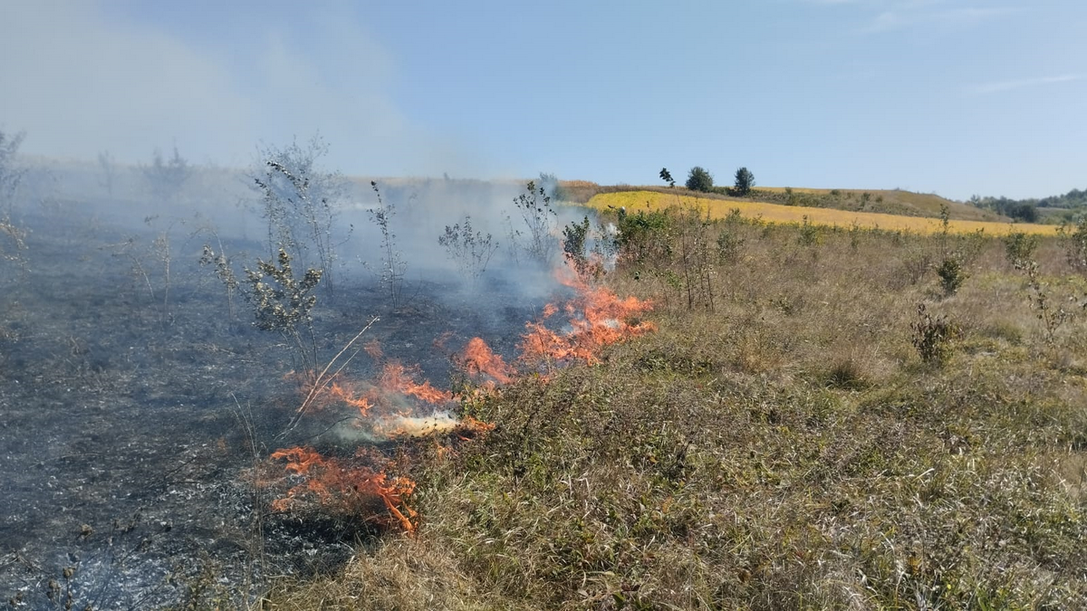 Коломийщина у вогні: майже 20 пожеж сухої трави спалахнули в районі за добу 4
