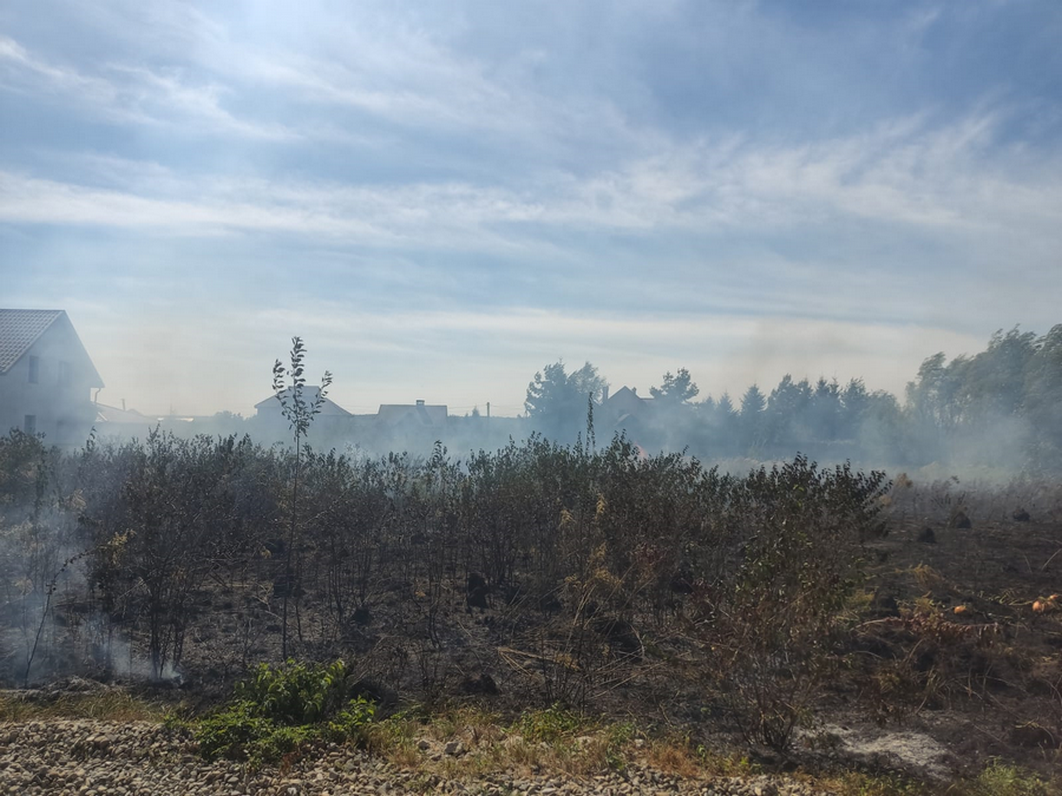 Коломийщина у вогні: майже 20 пожеж сухої трави спалахнули в районі за добу 5