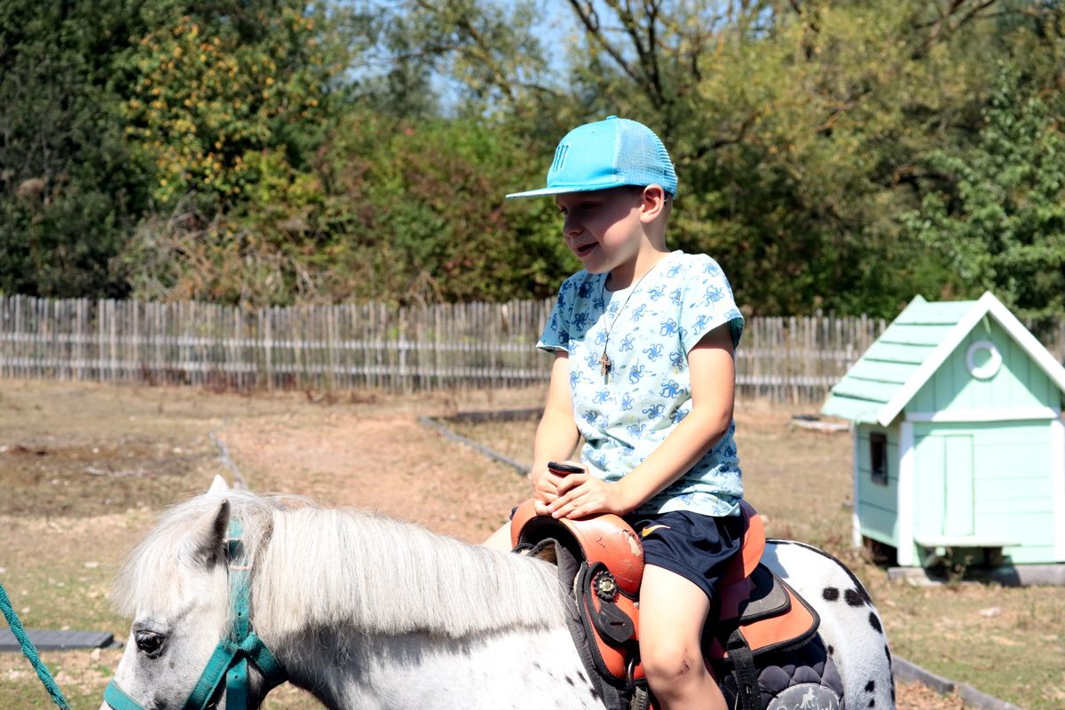 Кінні прогулянки як терапія від війни: ГО "Сила громади" організувала цінне дозвілля для сімей захисників 2